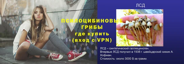 ECSTASY Мегион