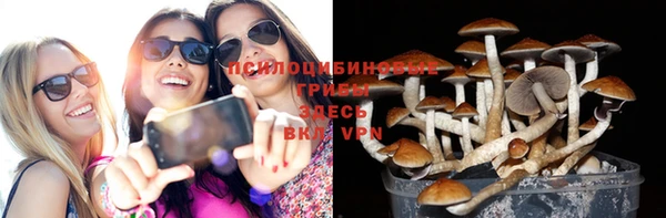 каннабис Медвежьегорск